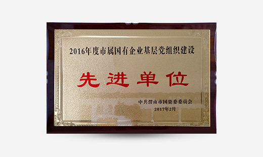 2016年度市屬國有企業(yè)基層黨組織建設(shè)先進單位