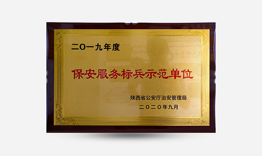 2019年度保安服務(wù)標兵示范單位